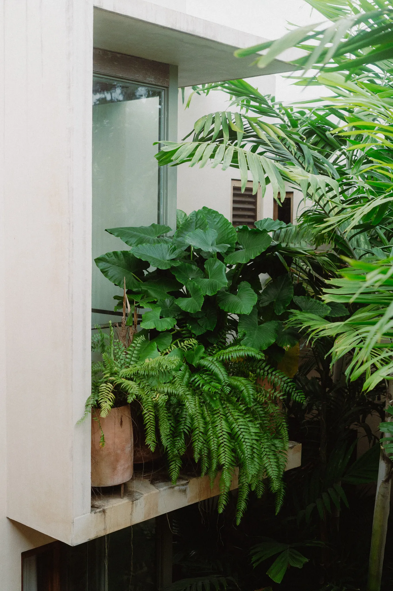 Foto Naturally Cooled Bedroom