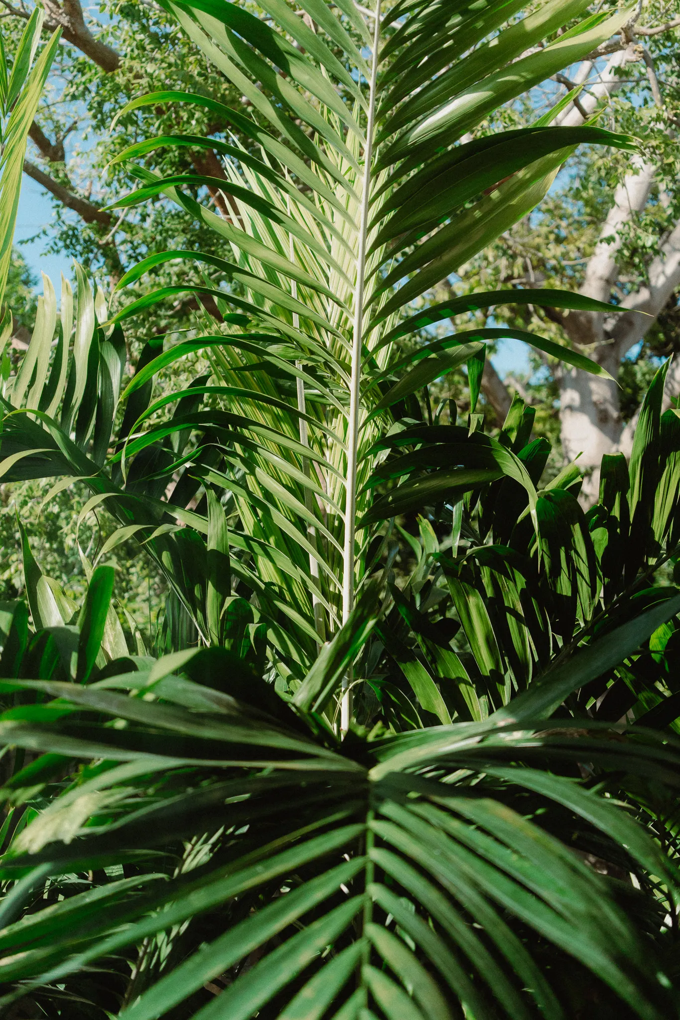 Foto Quiet Room “The Loved One”
