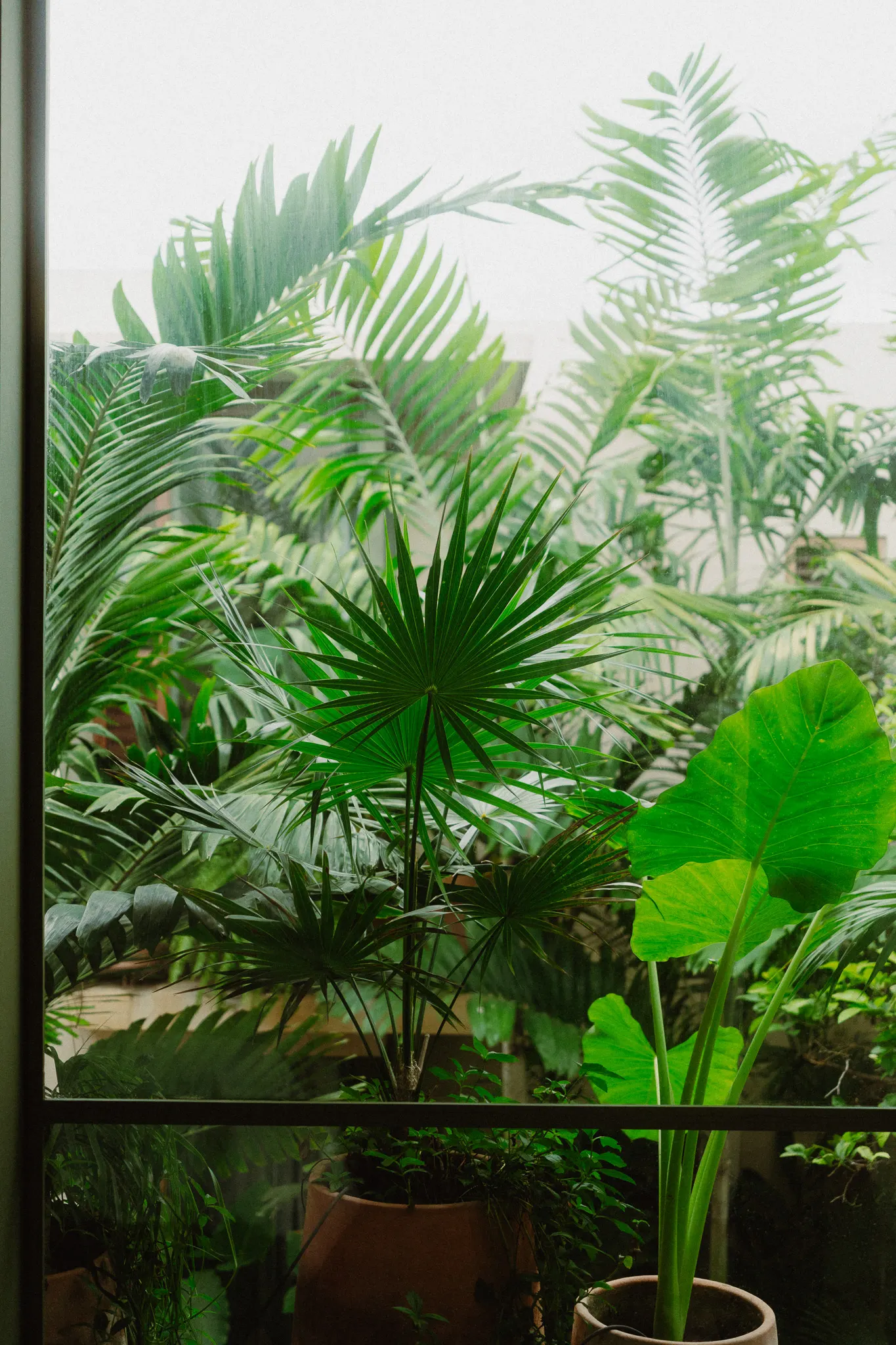 Foto Quiet Room “The Loved One”