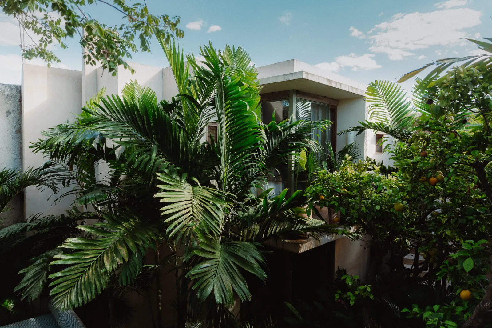 Foto Quiet Room “The Loved One”