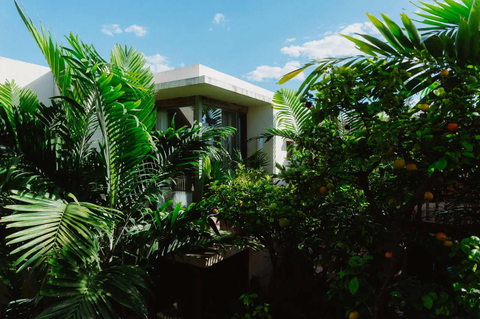 Foto Quiet Room “The Loved One”