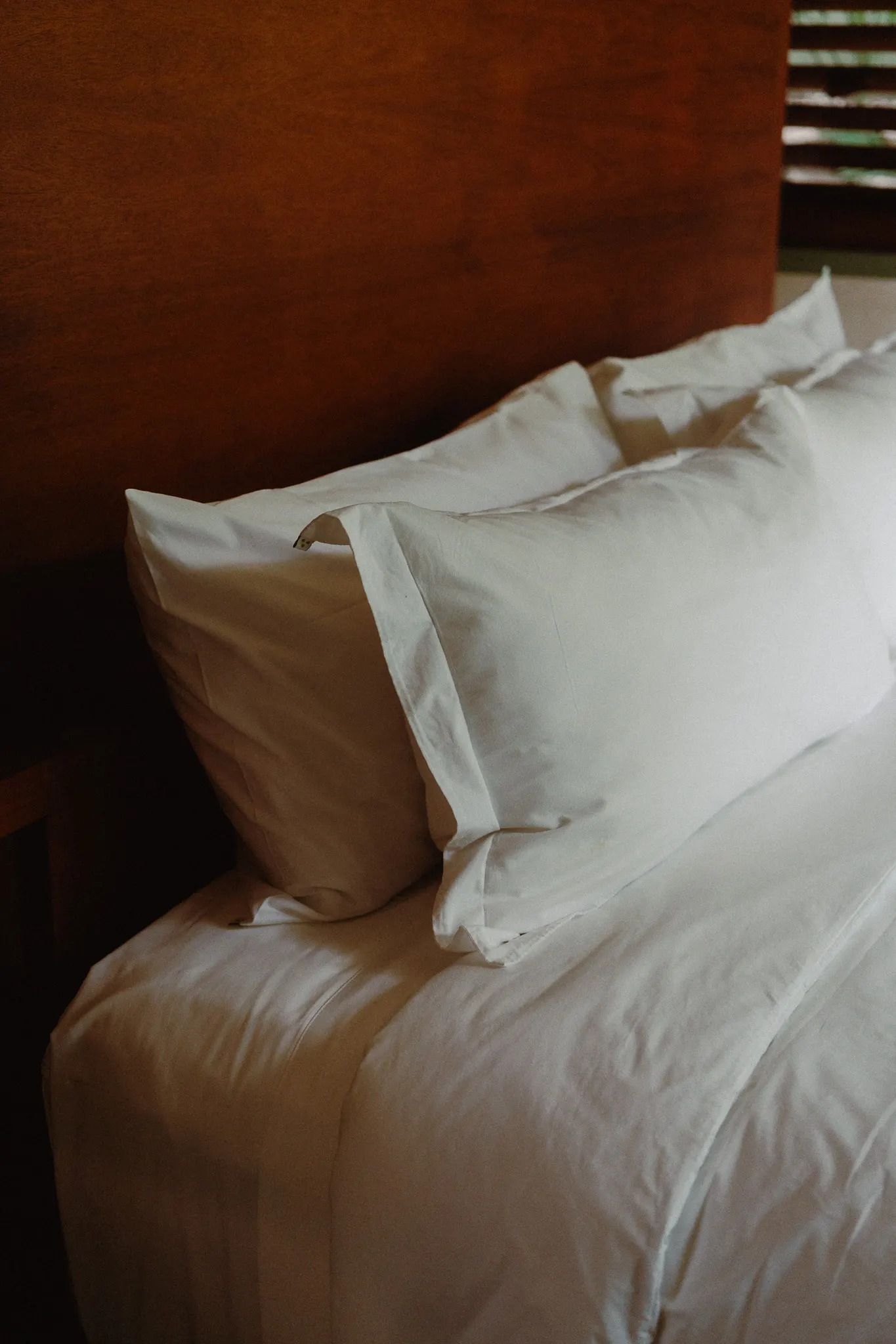Foto Lower Jungle Canopy Bedroom