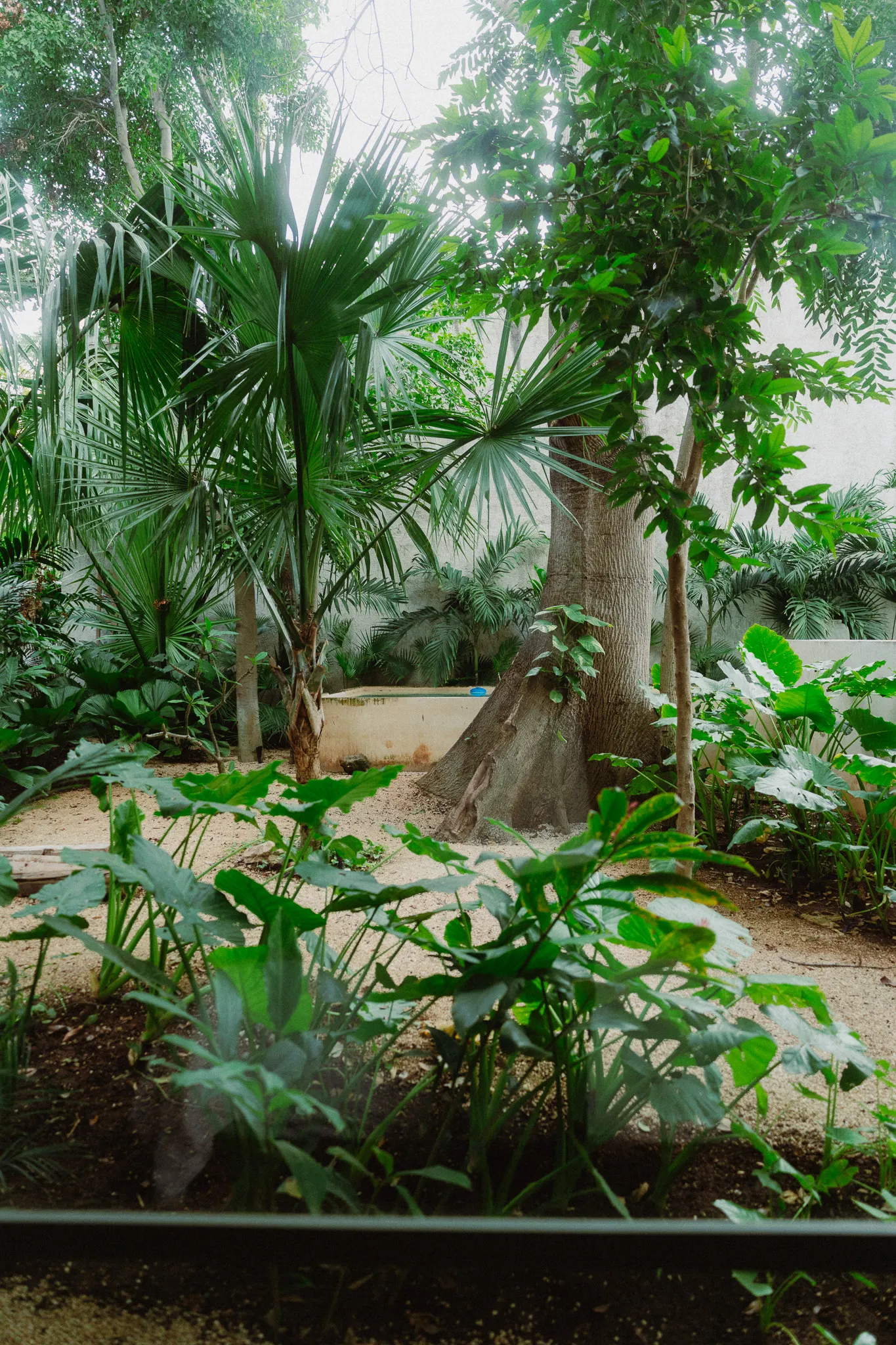 Foto Lower Jungle Canopy Bedroom