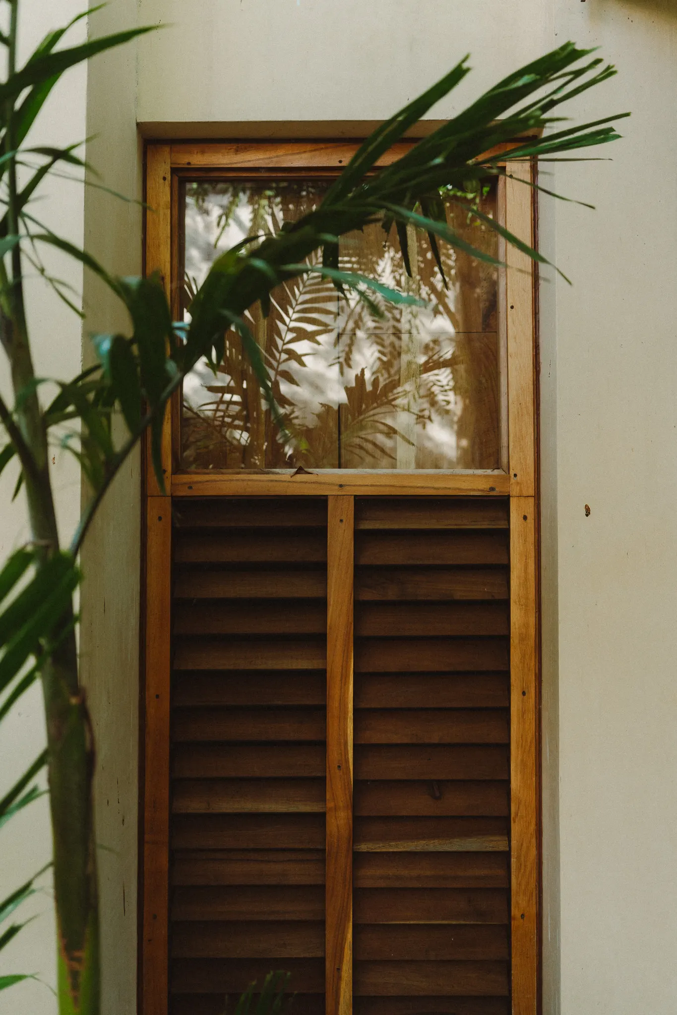 Foto Lower Jungle Canopy Bedroom